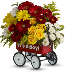 Baby's Wow Wagon by Teleflora 